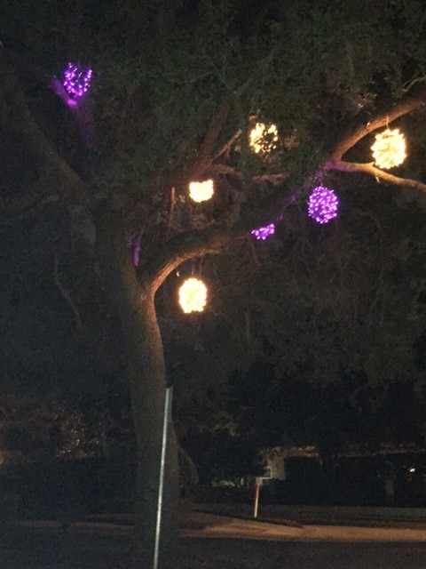 Purple balls seen on Palmer Avenue