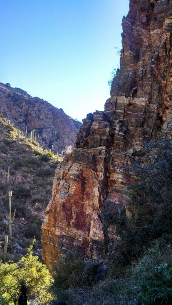 Ventana Canyon
